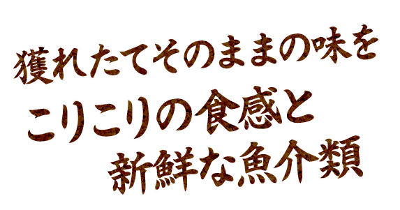 新鮮な魚介類