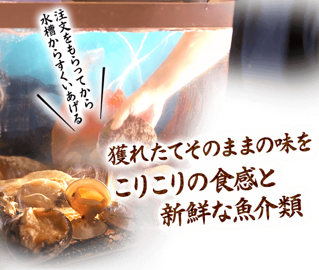 こりこりの食感と新鮮な魚介類