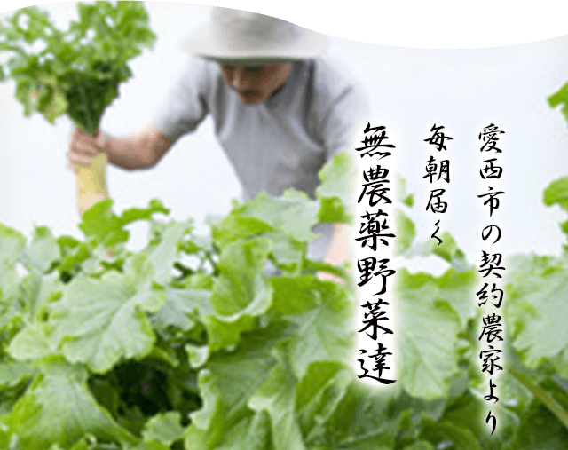 毎朝届く無農薬野菜達