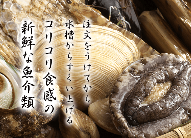 コリコリ食感の新鮮な魚介類